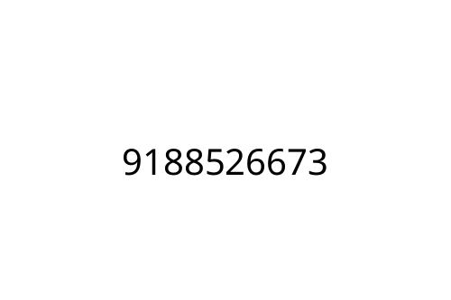 9188526673