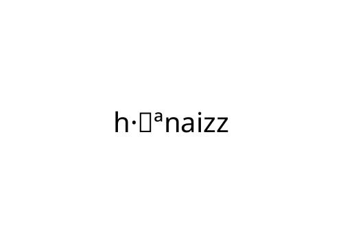 h___naizz