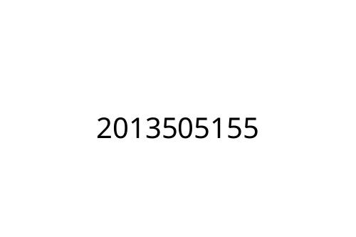 2013505155