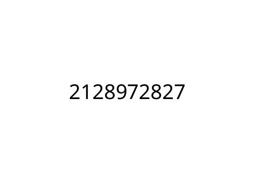 2128972827