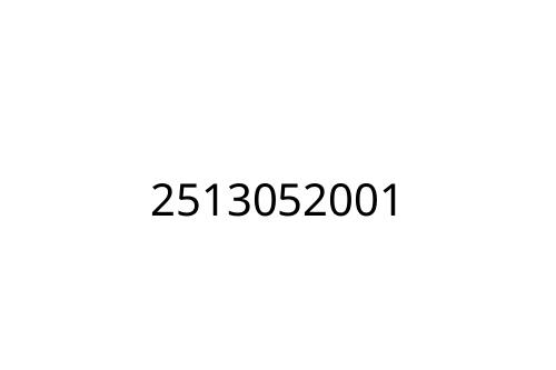 2513052001