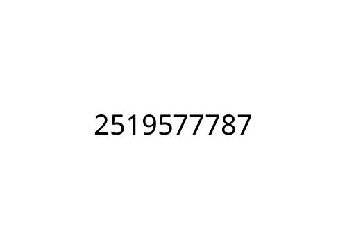 2519577787