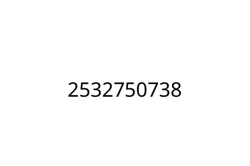 2532750738