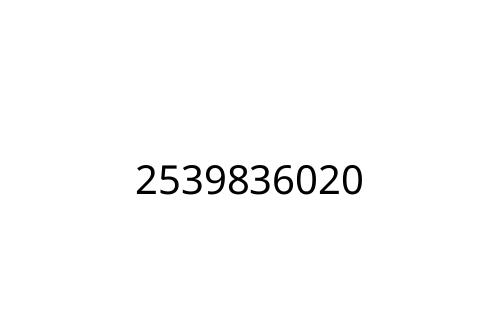 2539836020