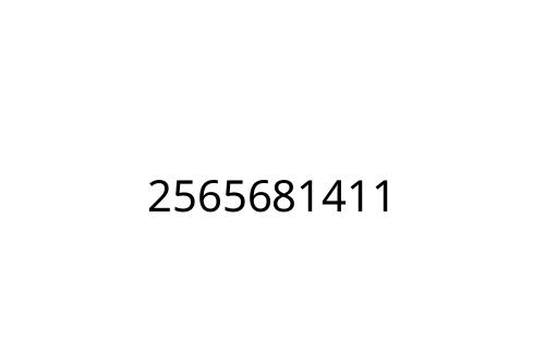 2565681411
