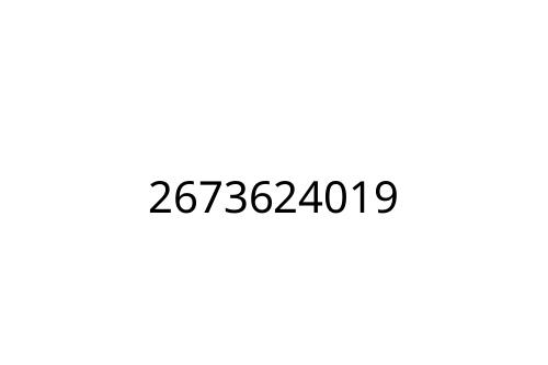 2673624019