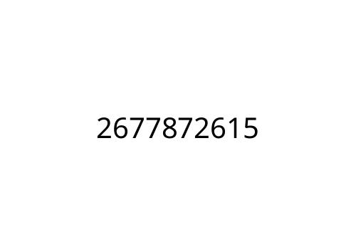 2677872615