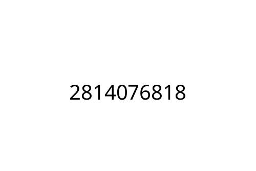 2814076818