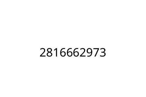 2816662973