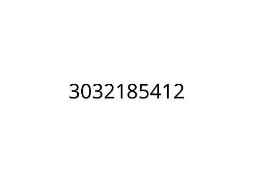3032185412