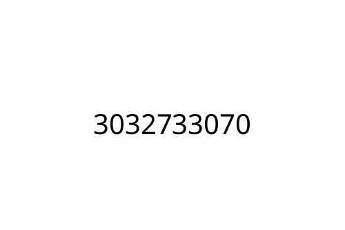 3032733070