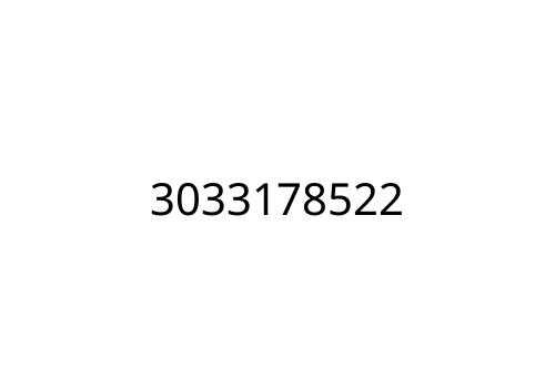 3033178522