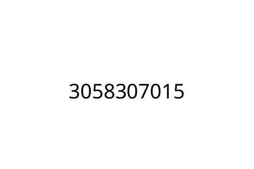 3058307015