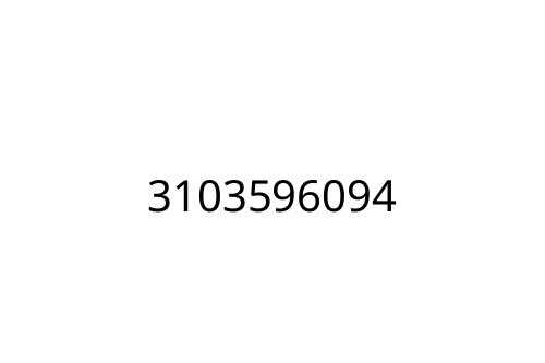 3103596094