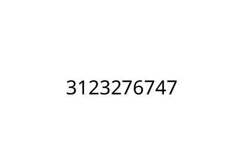 3123276747