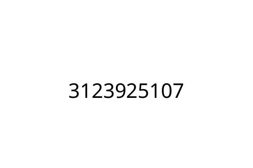 3123925107