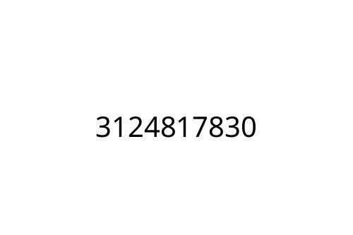 3124817830