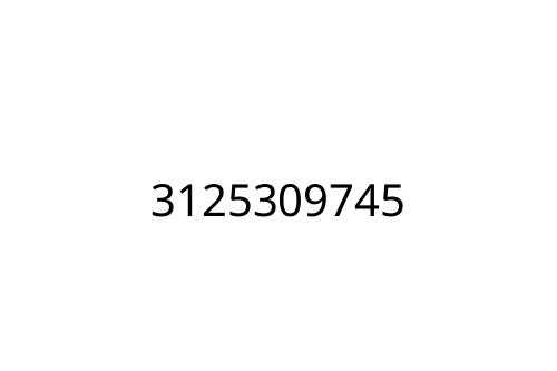 3125309745