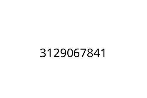 3129067841