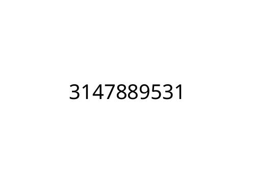 3147889531