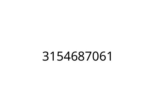 3154687061