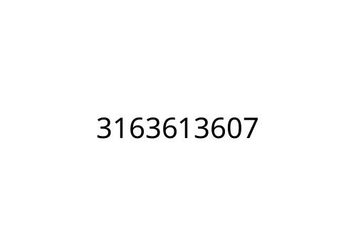 3163613607