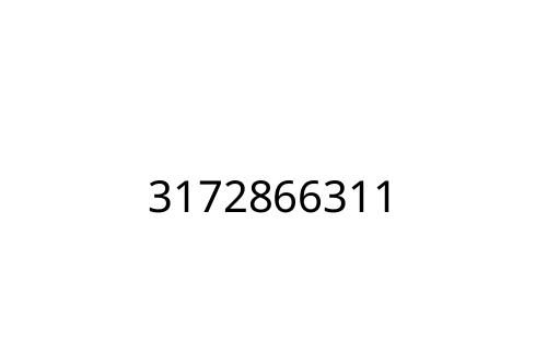 3172866311