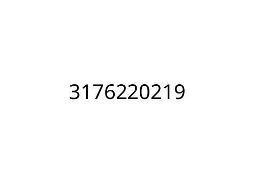 3176220219
