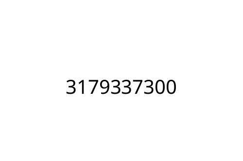 3179337300