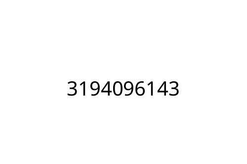 3194096143