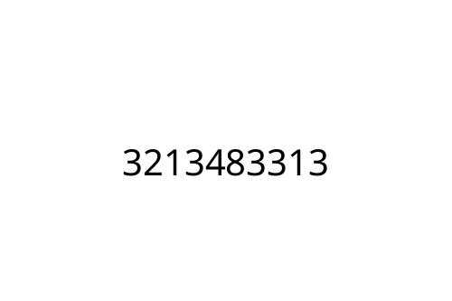 3213483313