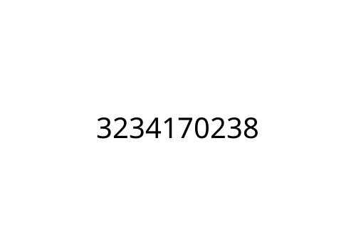 3234170238