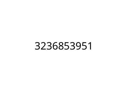 3236853951