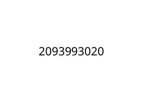 2093993020