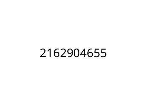 2162904655