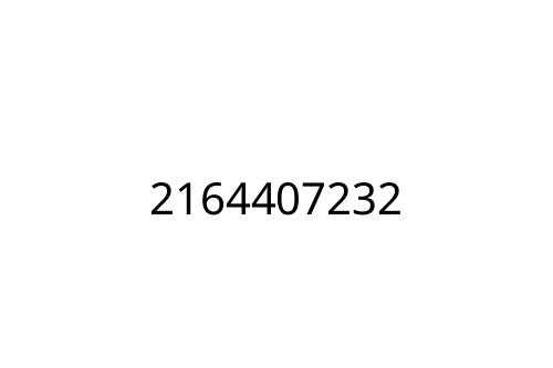 2164407232