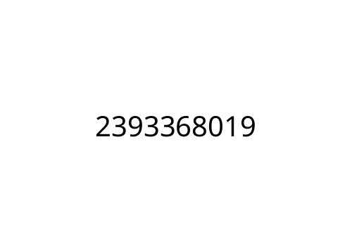 2393368019