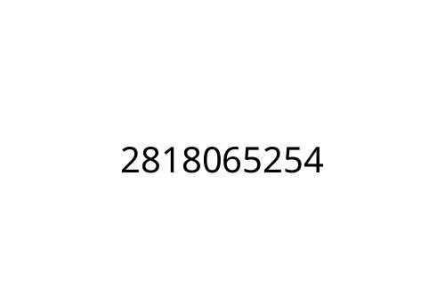 2818065254