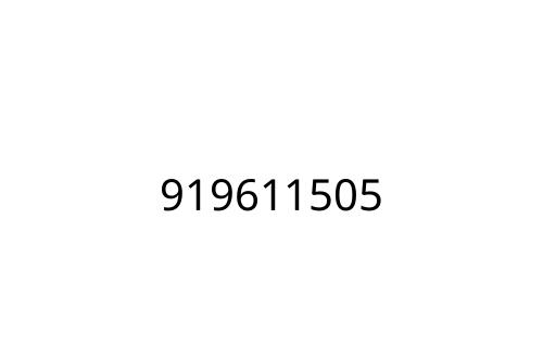 919611505
