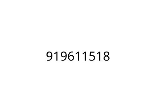 919611518