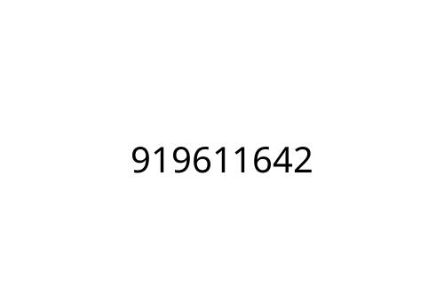 919611642
