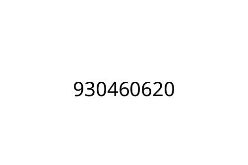 930460620