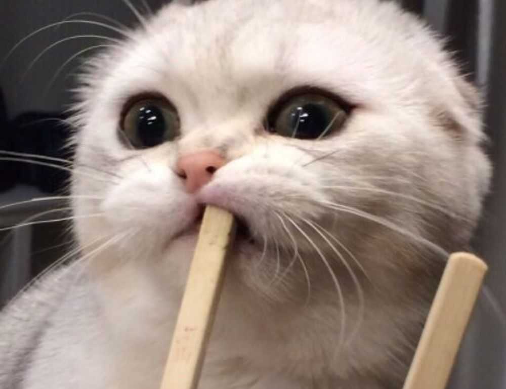 capital expenditures wbinvestimize