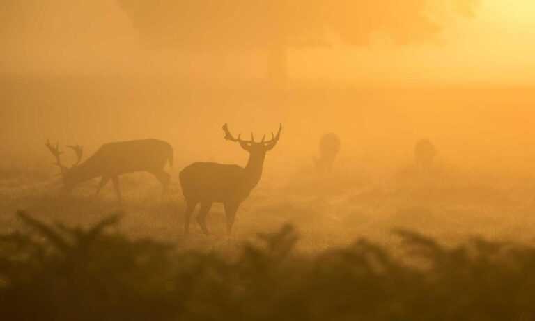 returnalgirl version4.4