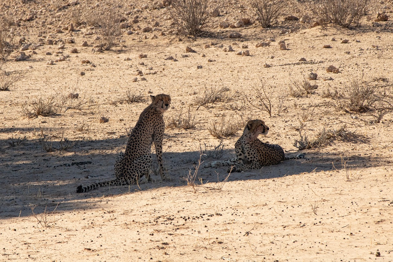 fastest growing startups 2026