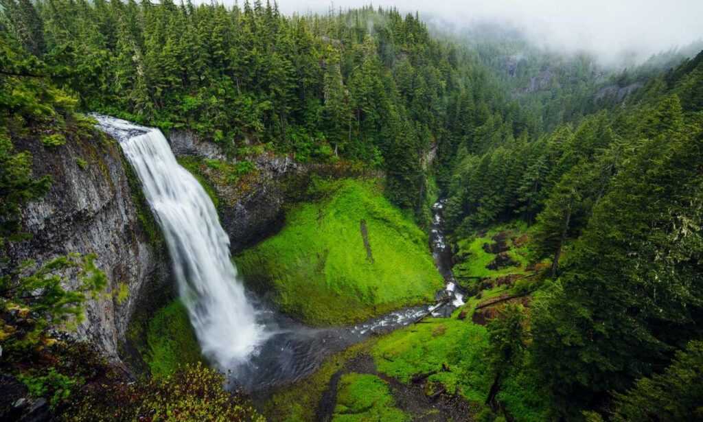 wbinvestimize investment advice from wealthybyte