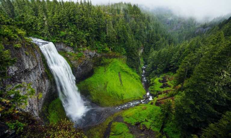 wbinvestimize investment advice from wealthybyte