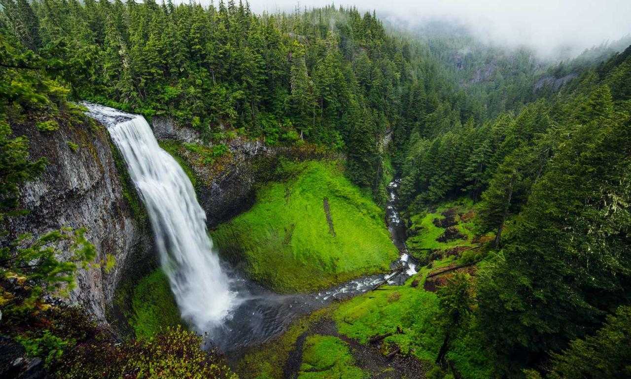 wbinvestimize investment advice from wealthybyte