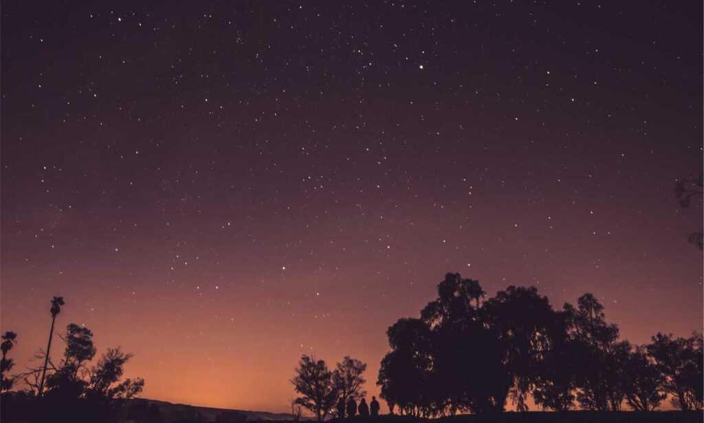 wbinvestimize investment guide by wealthybyte