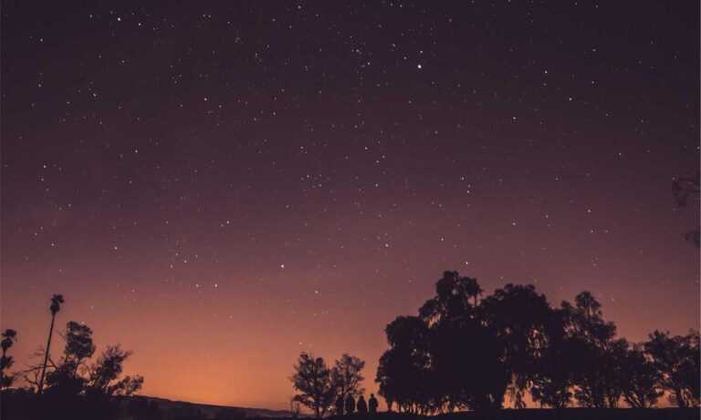 wbinvestimize investment guide by wealthybyte